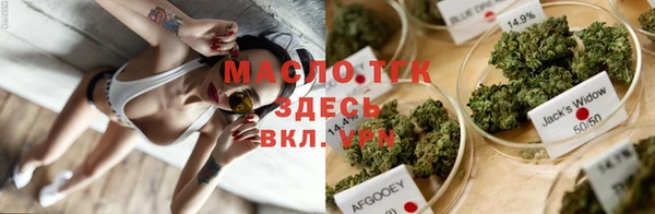 крисы Елизово