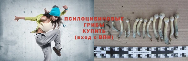 крисы Елизово