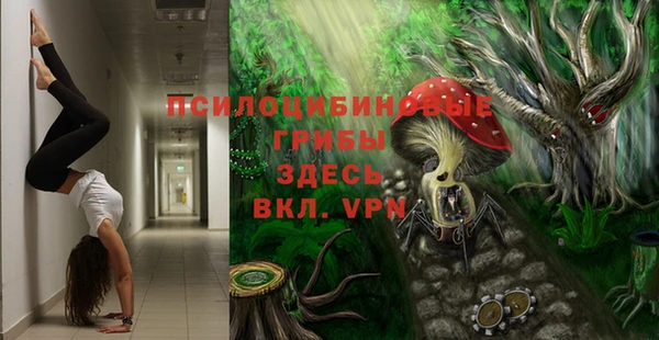 синтетический гашиш Ельня