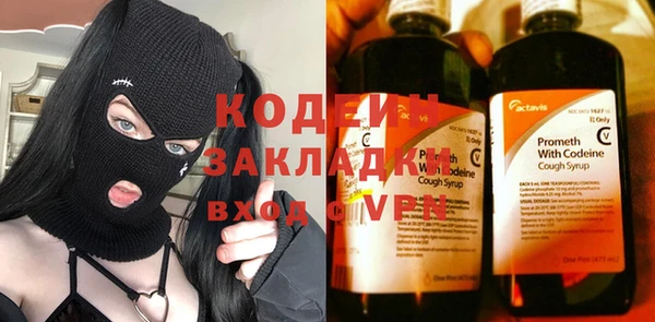 крисы Елизово