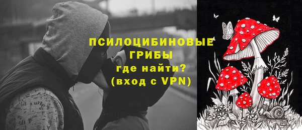 крисы Елизово