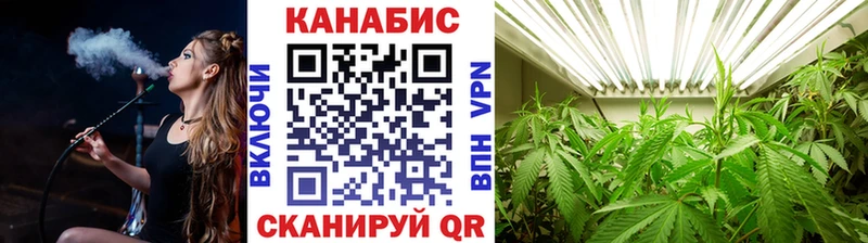Канабис OG Kush  блэк спрут зеркало  Южа 